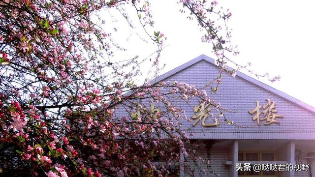 四川省犍为职业高级中学(四川省犍为职业高级中学官网)