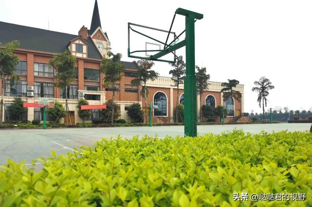 四川省犍为职业高级中学(四川省犍为职业高级中学官网)
