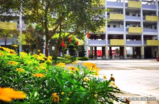 四川省犍为职业高级中学(四川省犍为职业高级中学官网)