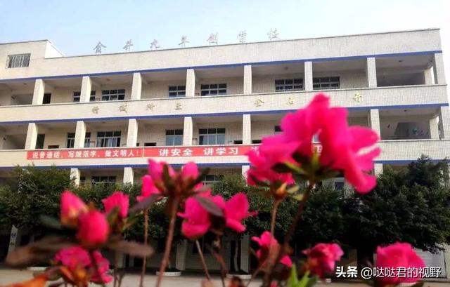 四川省犍为职业高级中学(四川省犍为职业高级中学官网)