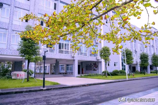 四川省犍为职业高级中学(四川省犍为职业高级中学官网)