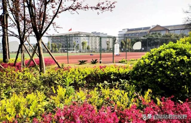 四川省犍为职业高级中学(四川省犍为职业高级中学官网)