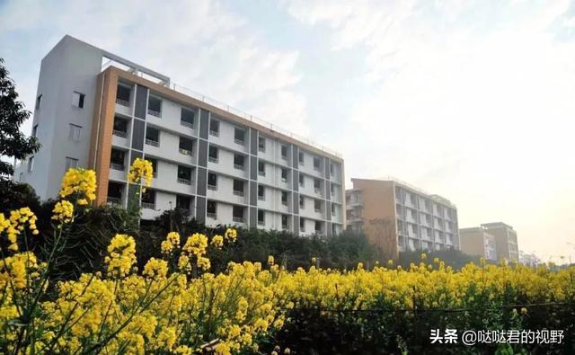 四川省犍为职业高级中学(四川省犍为职业高级中学官网)