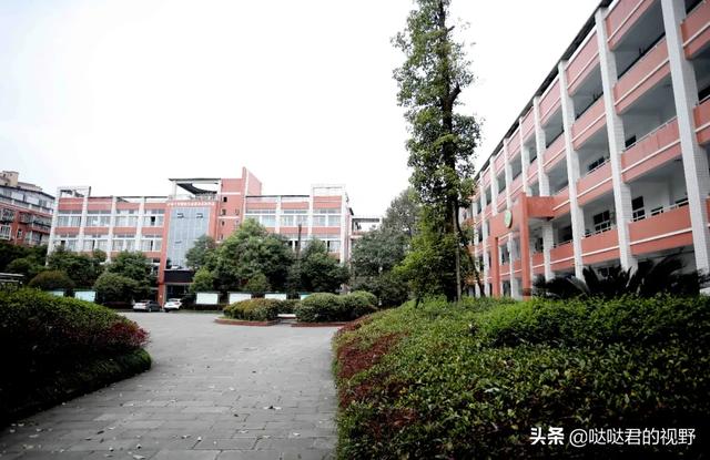 四川省犍为职业高级中学(四川省犍为职业高级中学官网)