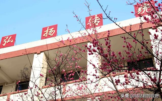 四川省犍为职业高级中学(四川省犍为职业高级中学官网)