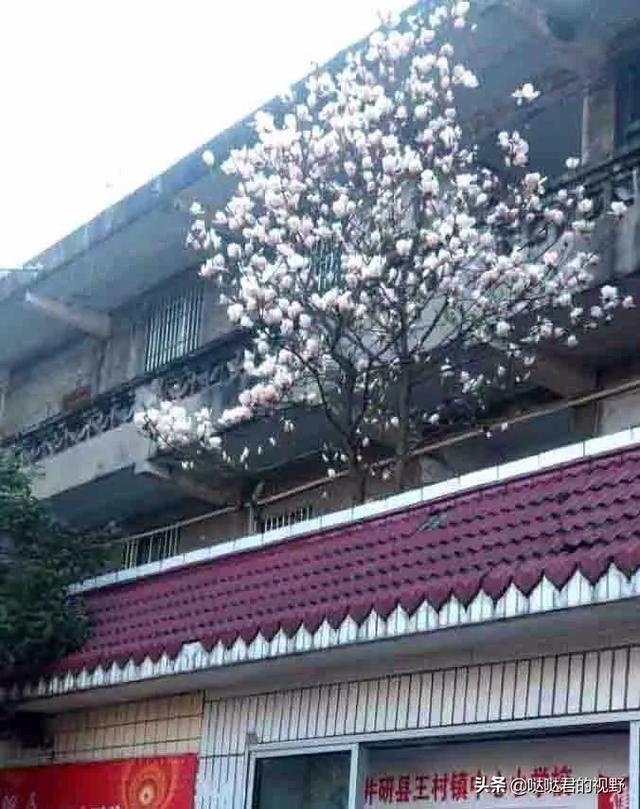 四川省犍为职业高级中学(四川省犍为职业高级中学官网)