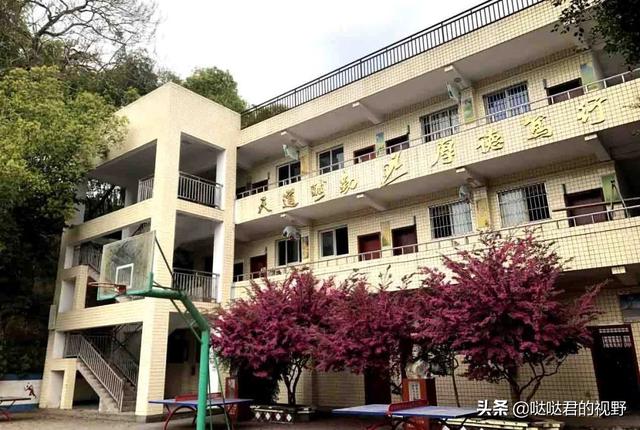 四川省犍为职业高级中学(四川省犍为职业高级中学官网)