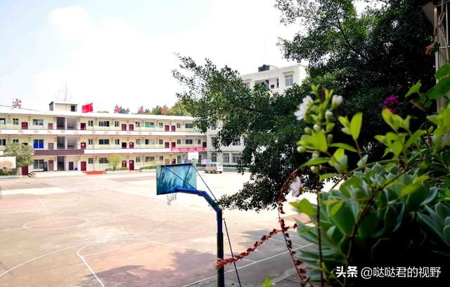 四川省犍为职业高级中学(四川省犍为职业高级中学官网)