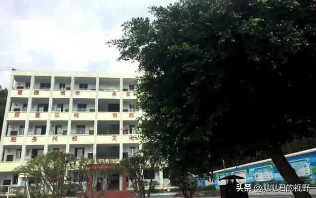 四川省犍为职业高级中学(四川省犍为职业高级中学官网)
