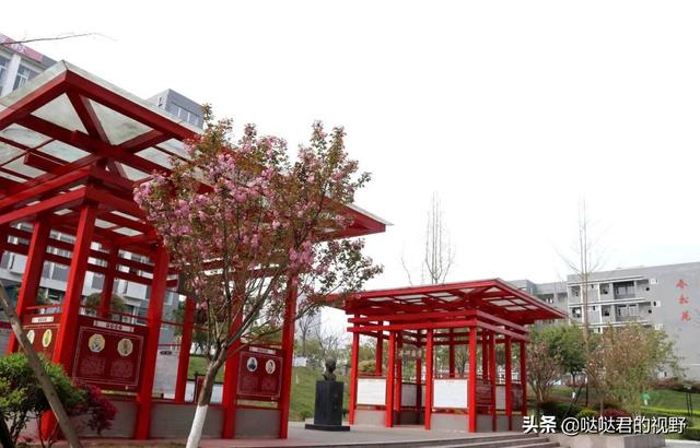 四川省犍为职业高级中学(四川省犍为职业高级中学官网)