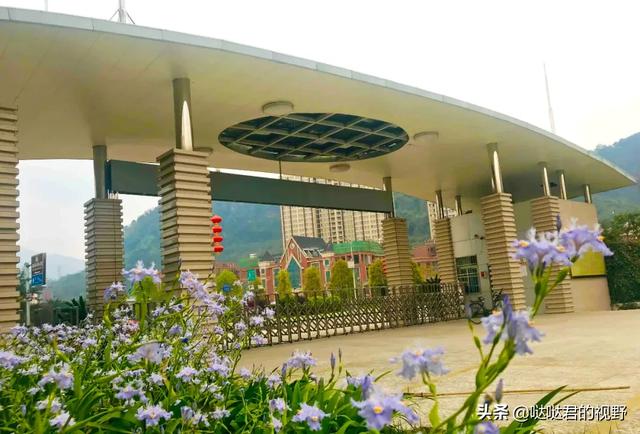 四川省犍为职业高级中学(四川省犍为职业高级中学官网)