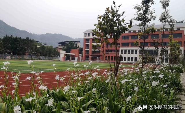 四川省犍为职业高级中学(四川省犍为职业高级中学官网)