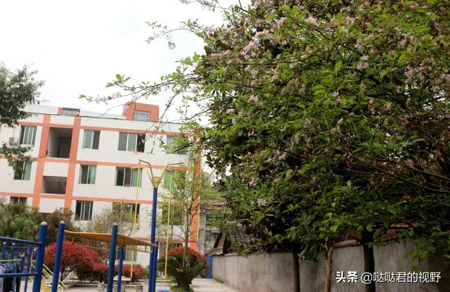 四川省犍为职业高级中学(四川省犍为职业高级中学官网)