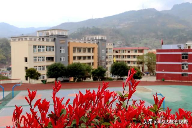四川省犍为职业高级中学(四川省犍为职业高级中学官网)