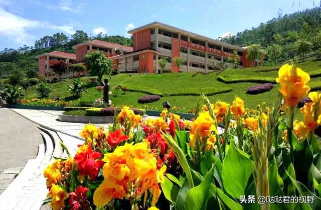 四川省犍为职业高级中学(四川省犍为职业高级中学官网)