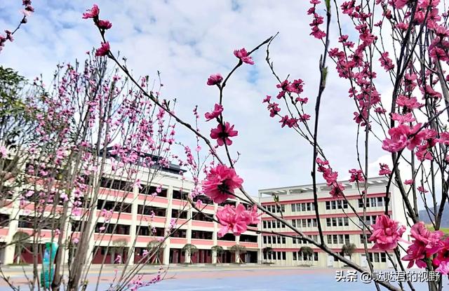 四川省犍为职业高级中学(四川省犍为职业高级中学官网)
