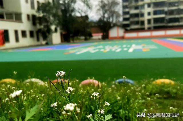 四川省犍为职业高级中学(四川省犍为职业高级中学官网)