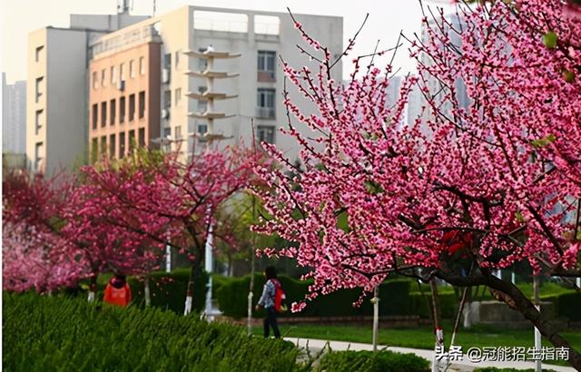 四川幼儿师范学校哪个好(四川幼儿师范学校专升本)