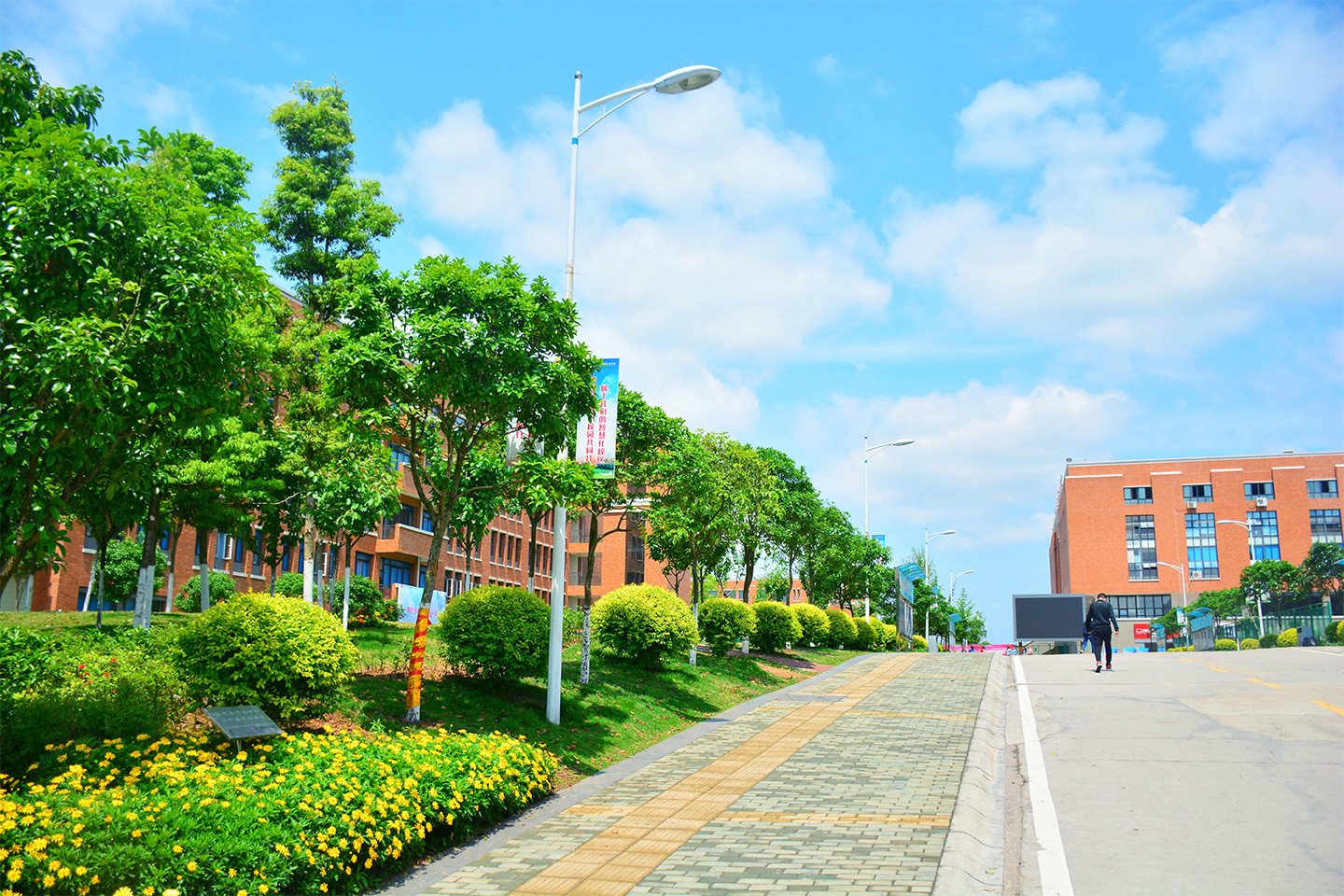 自贡幼师学校(自贡幼师学校在哪里)