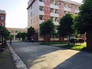 关于德阳护理学校的信息