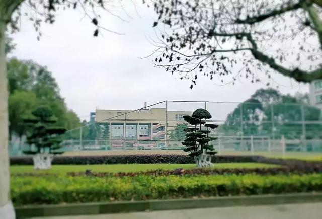 泸州化工工程职业技术学校(泸州化工工程职业技术学校官网)