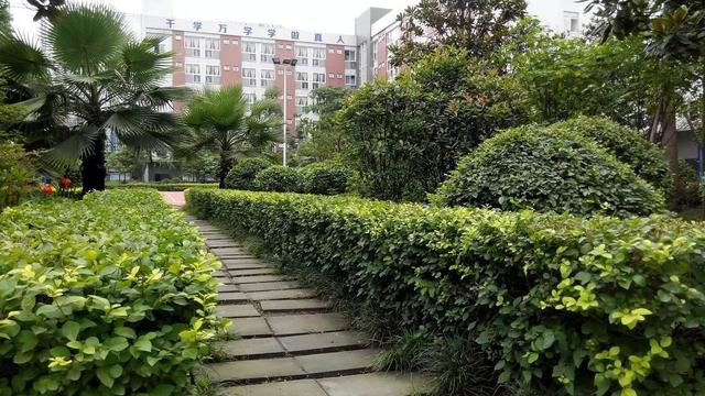 成都华商理工学校好不(成都华商理工职业学校)
