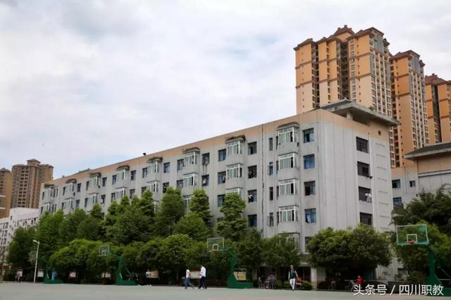 雅安哪些职业学校好(雅安职业学校单招分数线)