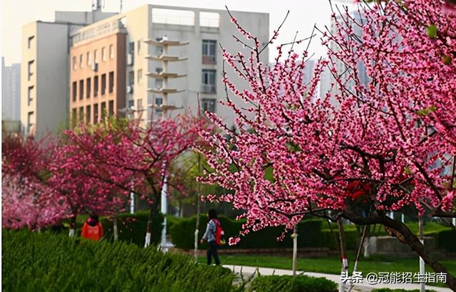 四川初中毕业可以上哪些学校(四川初中毕业可以上哪些职业技术学校)