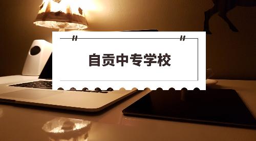 自贡技术学校(自贡职业技术学校板仓)