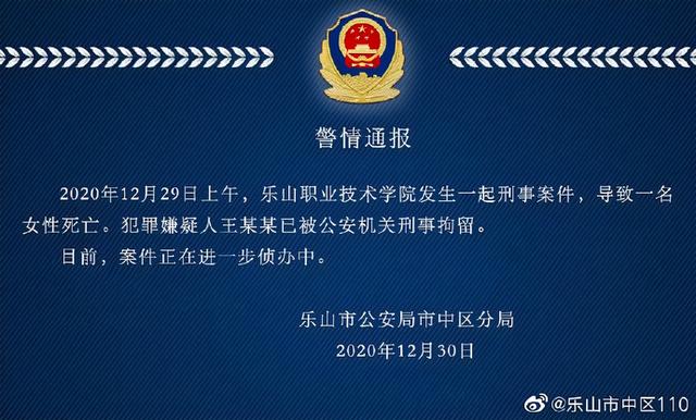 乐山职业学校(乐山职业学校官网)