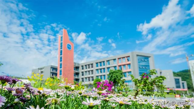 四川科技职业技术学校(四川科技职业技术学校是公办还是民办)