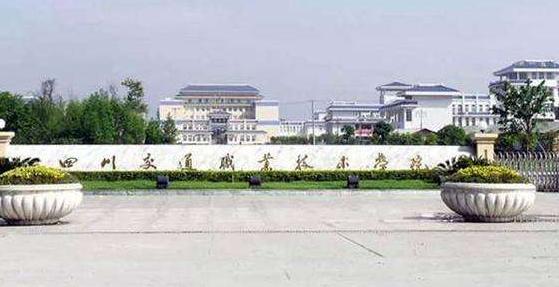 四川市职业学校(四川市职业幼师学校)