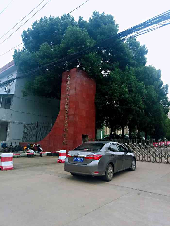 巴中幼师学校(巴中幼师学校录取分数线)