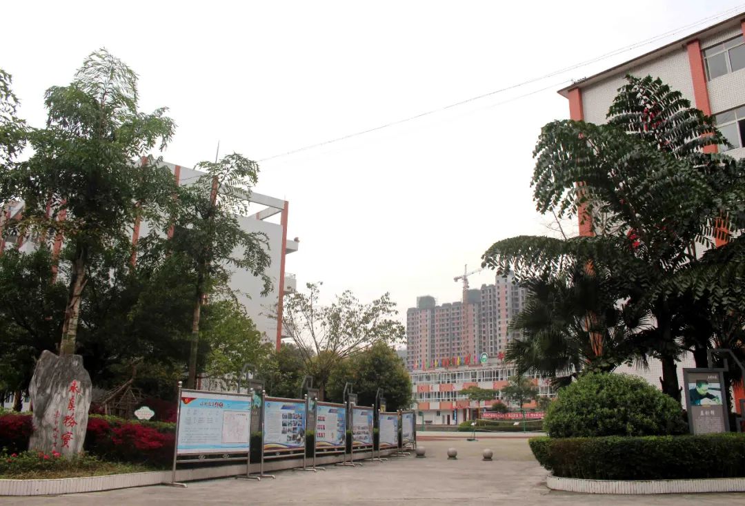 乐山职业学校地址(乐山欣欣艺术学校地图)