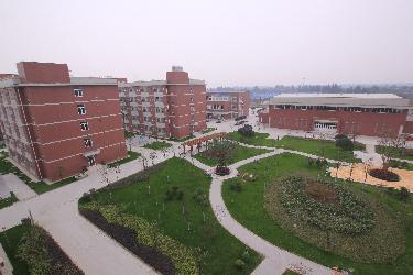 四川省五年制大专学校排名(四川省五年制大专学校排名榜)