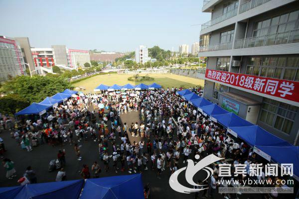 2020宜宾卫校最低分数线(广西桂林卫校最低分数线2020)