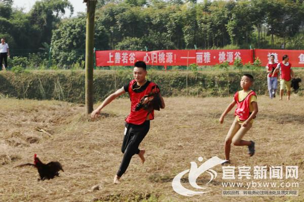 2020宜宾卫校最低分数线(广西桂林卫校最低分数线2020)