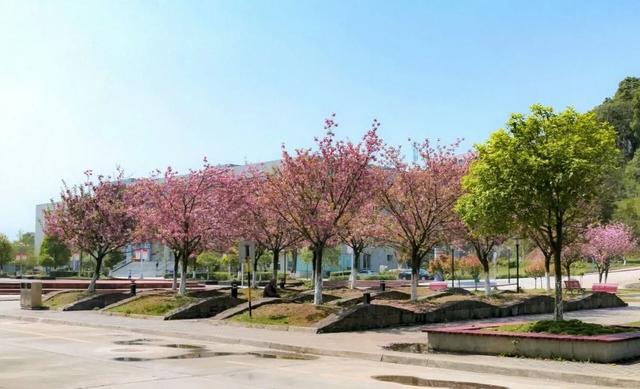 绵阳职业技术学院(绵阳职业技术学院官网教务处)