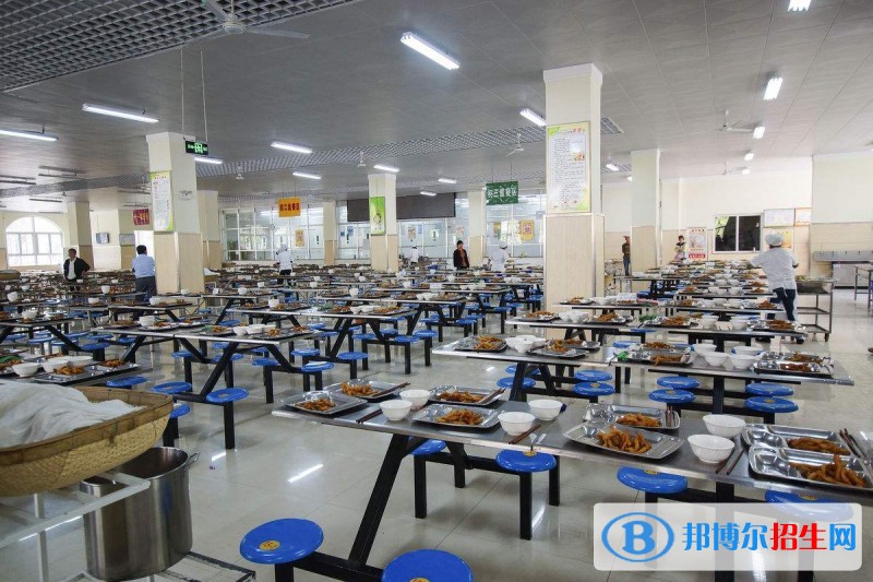 泸州职业学校有哪些专业(泸州职业技术学院学费多少钱)