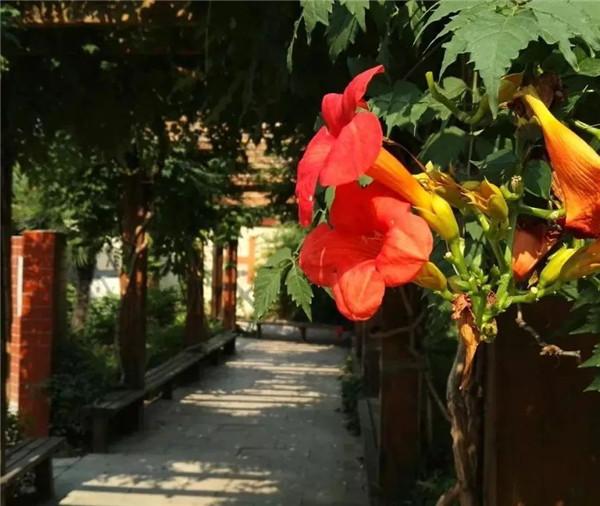 郑州技师学院是中专吗(郑州交通技师学院是中专吗)