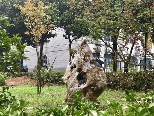 郑州技师学院是中专吗(郑州交通技师学院是中专吗)