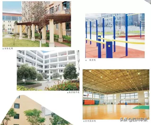 四川志翔学校收费(四川少林寺学校收费)