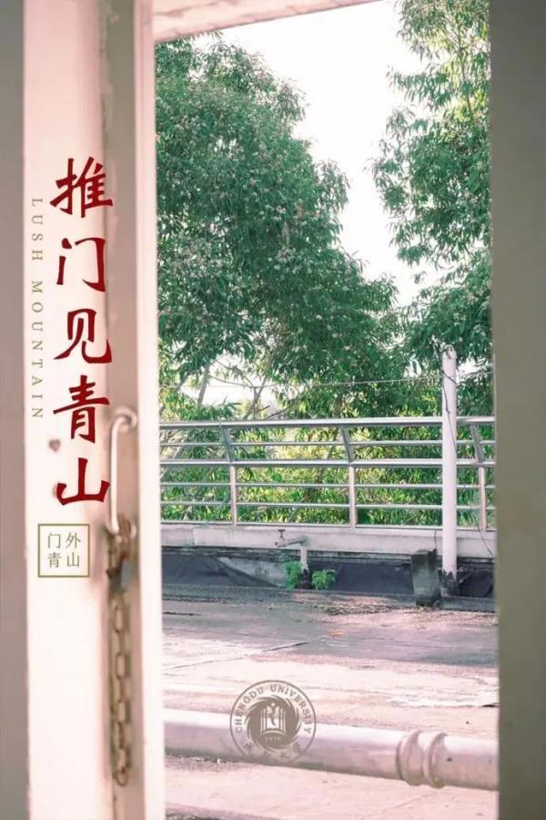 成都城市职业学院官网(成都城市职业学院怎么样)