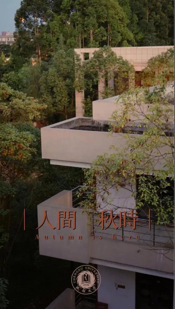 成都城市职业学院官网(成都城市职业学院怎么样)