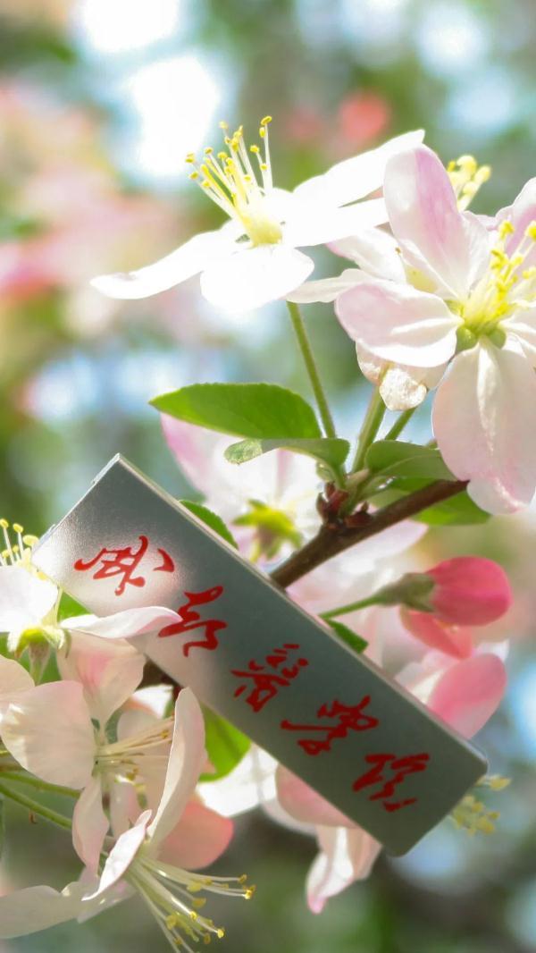 成都城市职业学院官网(成都城市职业学院怎么样)