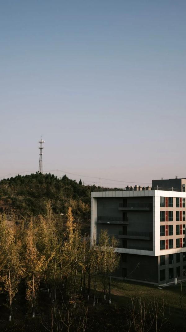 成都城市职业学院官网(成都城市职业学院怎么样)