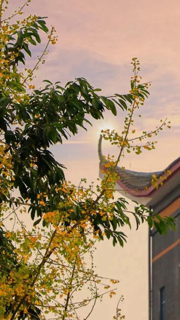 成都城市职业学院官网(成都城市职业学院怎么样)