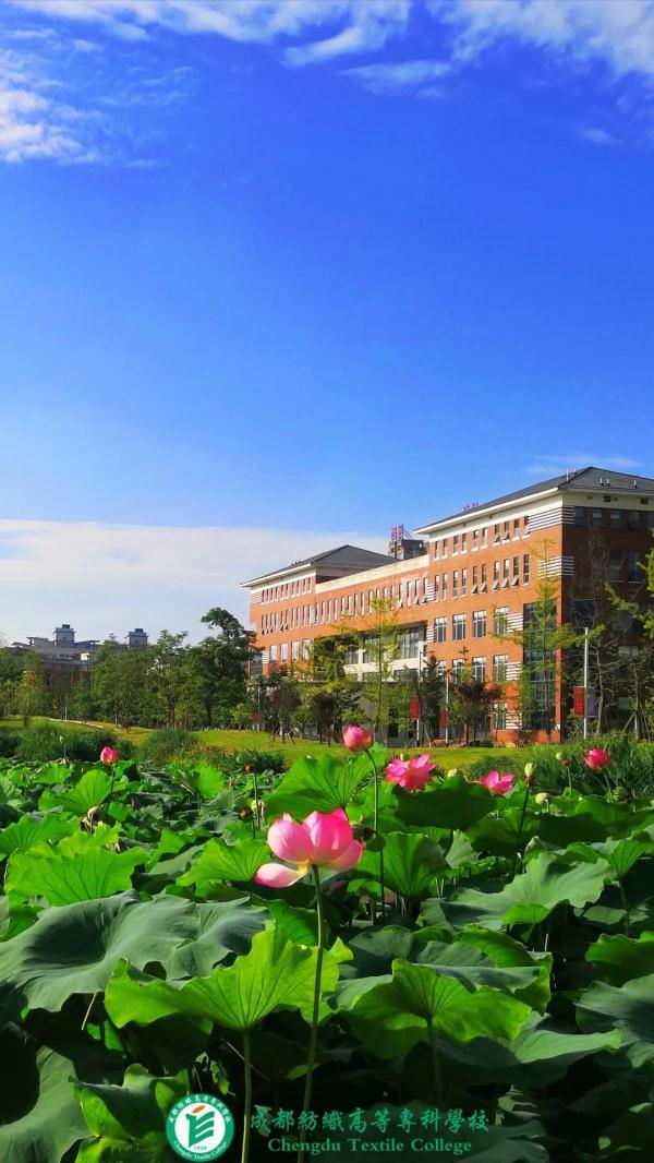 成都城市职业学院官网(成都城市职业学院怎么样)
