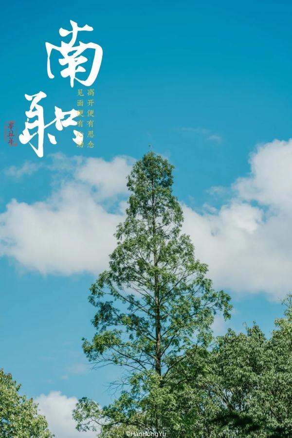 成都城市职业学院官网(成都城市职业学院怎么样)