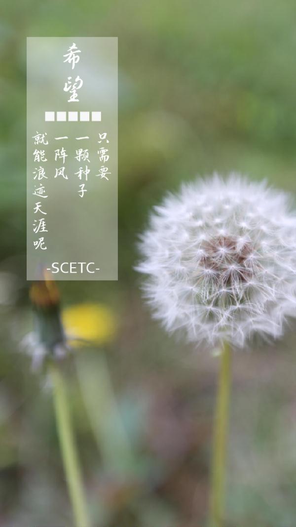 成都城市职业学院官网(成都城市职业学院怎么样)